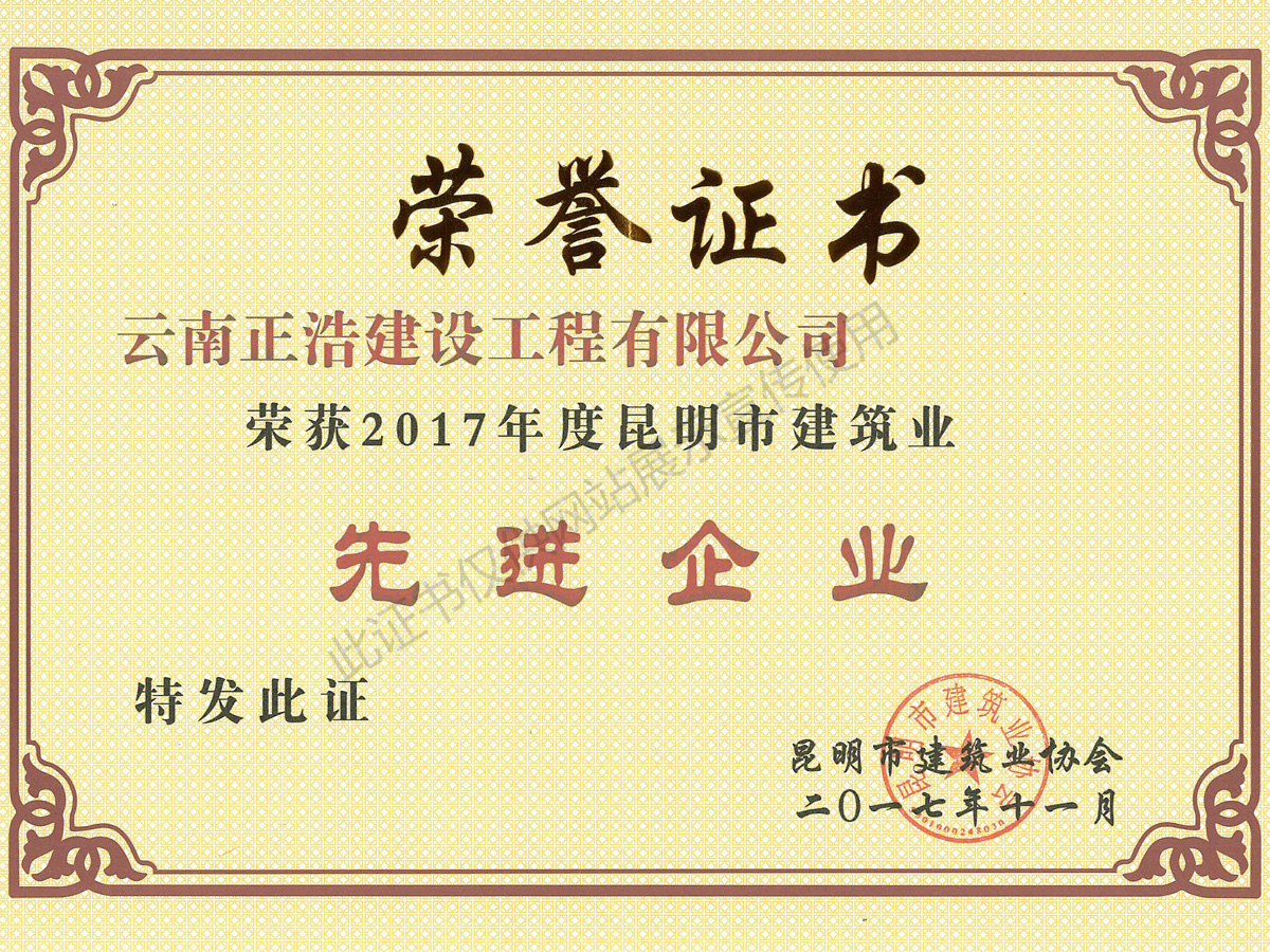2017年度先進企業